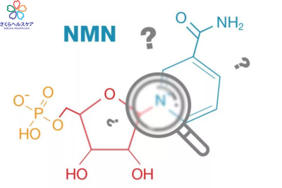 NMN là gì? Tác dụng thần kỳ mà NMN đem lại cho cơ thể
