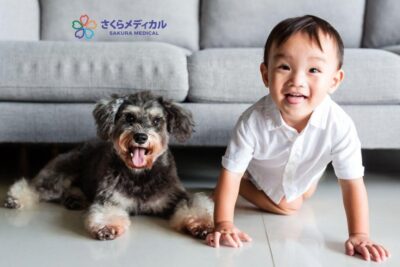 BỆNH GIUN SÁN LÂY TỪ CHÓ MÈO – PHÒNG NGỪA THẾ NÀO CHO ĐÚNG?